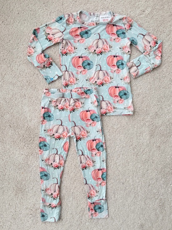 Posh Peanut Other - Posh Peanut Jackie Print Long Sleeve Pajama Set